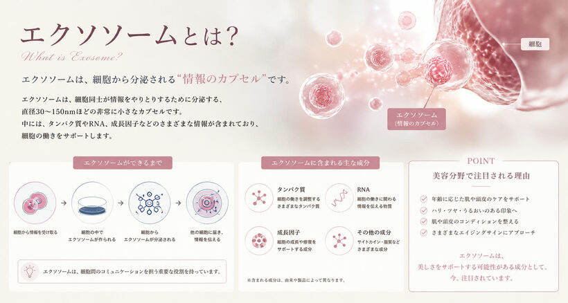 エクソソームとは？ ― 細胞から分泌される情報のカプセル。できるまでの流れと、含まれる主な成分の解説図