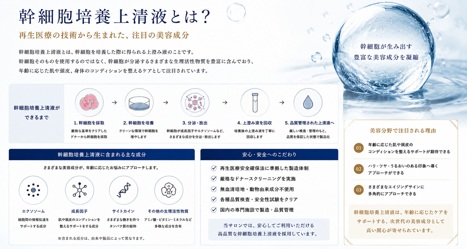 幹細胞培養上清液とは？ — 幹細胞を培養した際に得られる上清液についての解説図